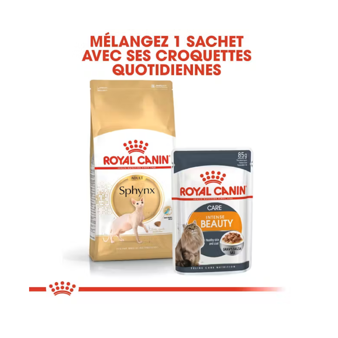 Sphynx Adult- Aliment Sec- Royal Canin