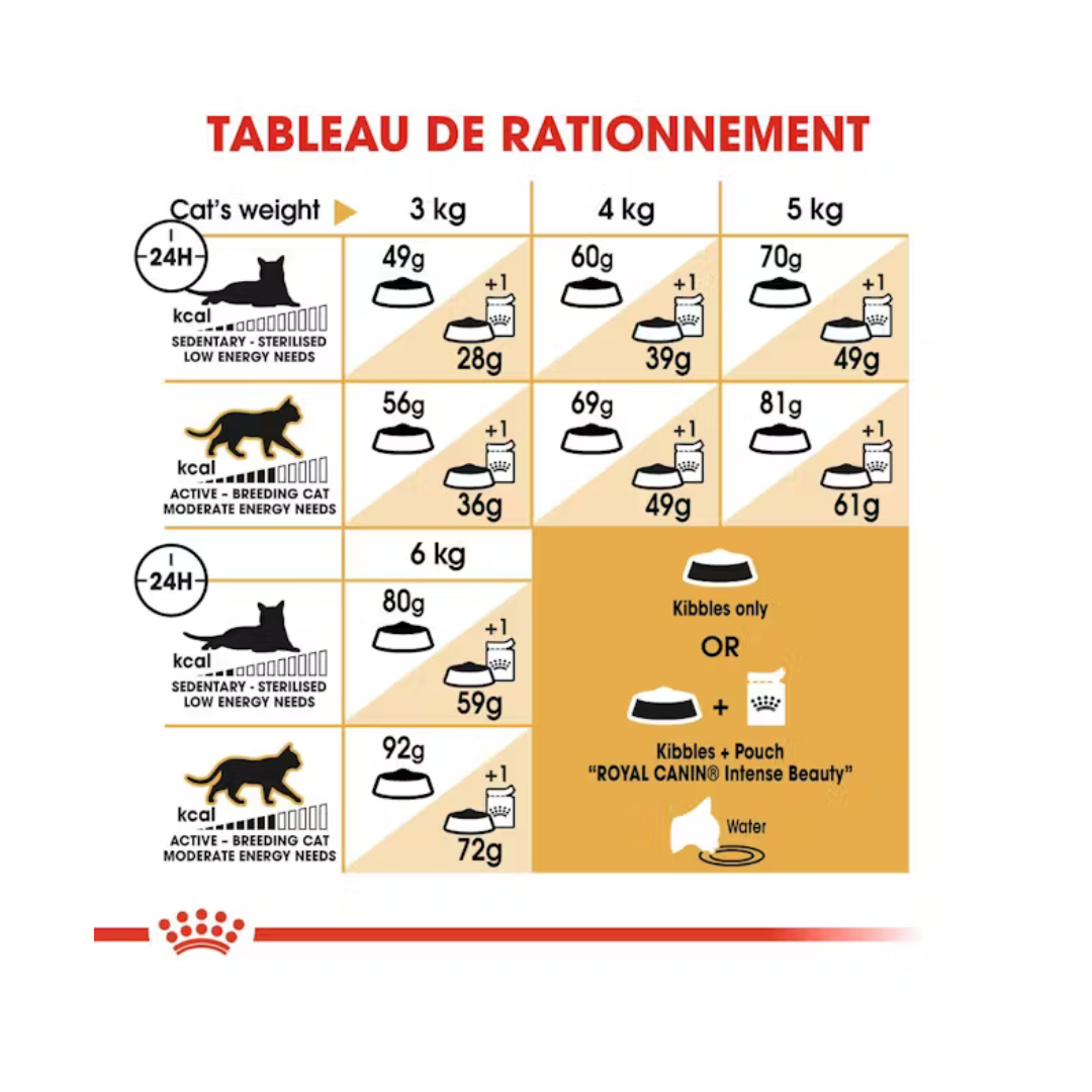 Sphynx Adult- Aliment Sec- Royal Canin