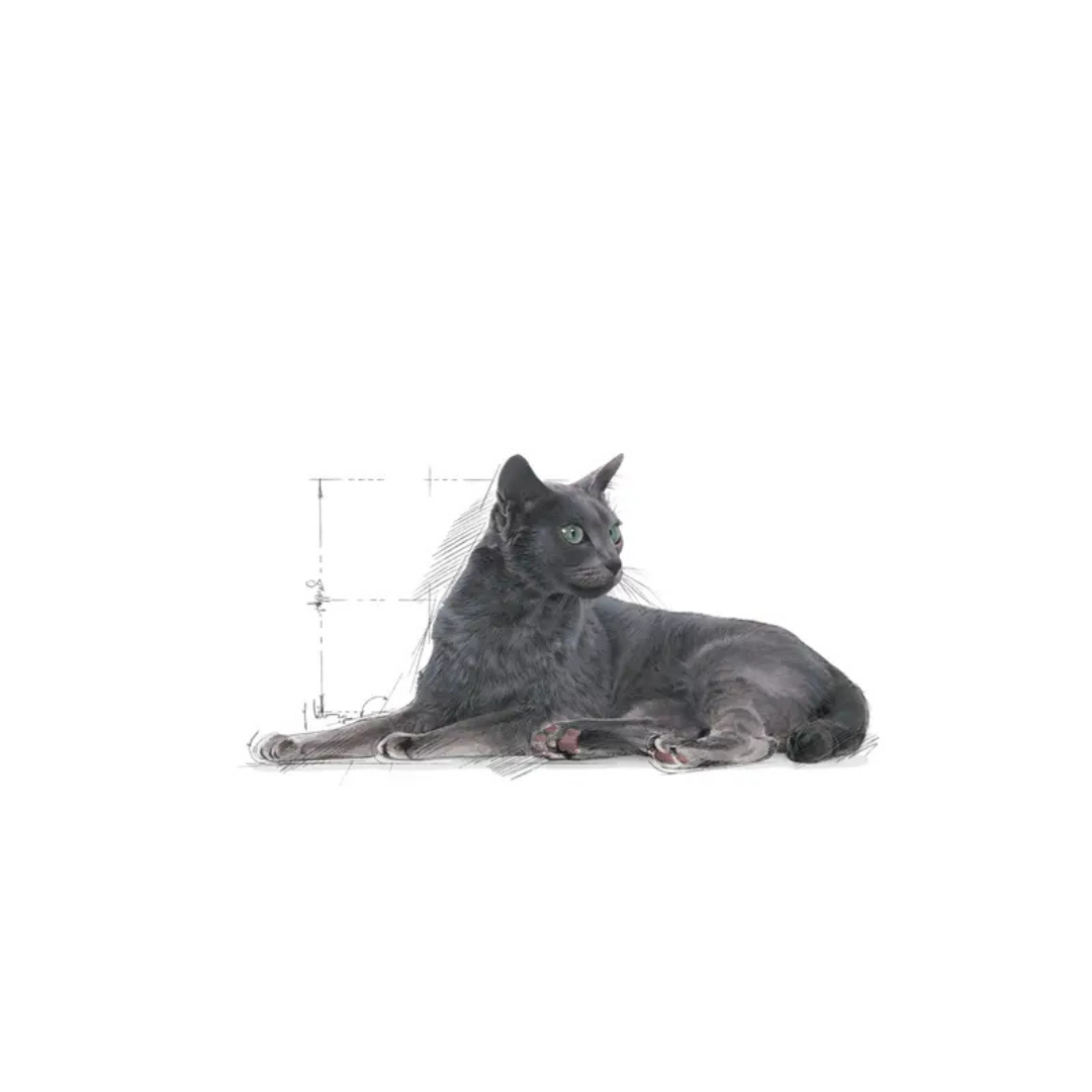 Regular Sterilised 7+ Aliment Sec- Royal Canin