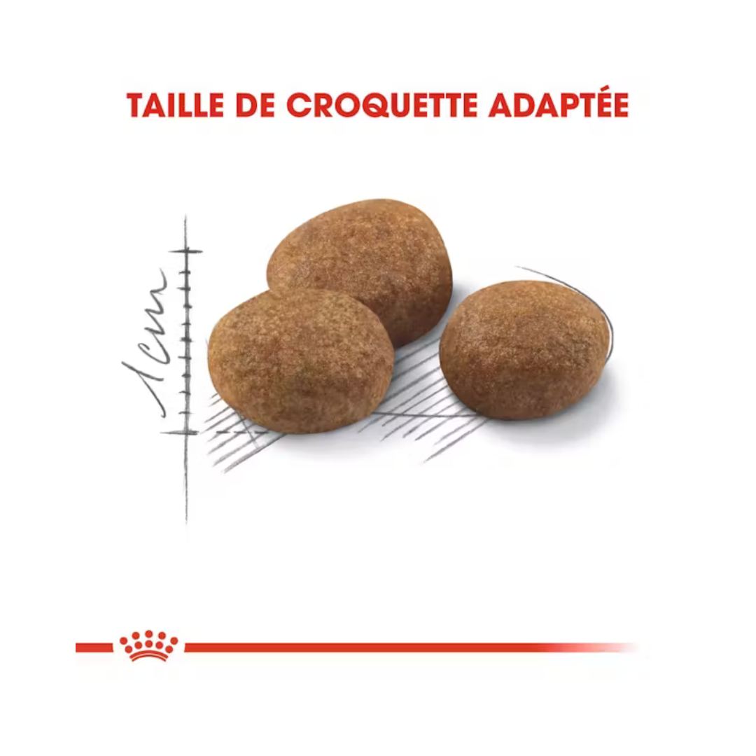 Regular Sterilised 7+ Aliment Sec- Royal Canin