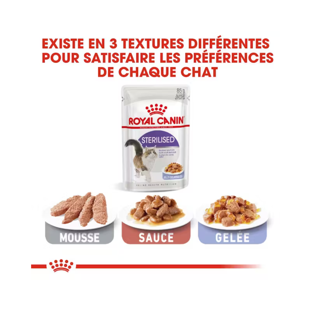Sterilised en gelée 12x85g- Aliment Humide- Royal Canin