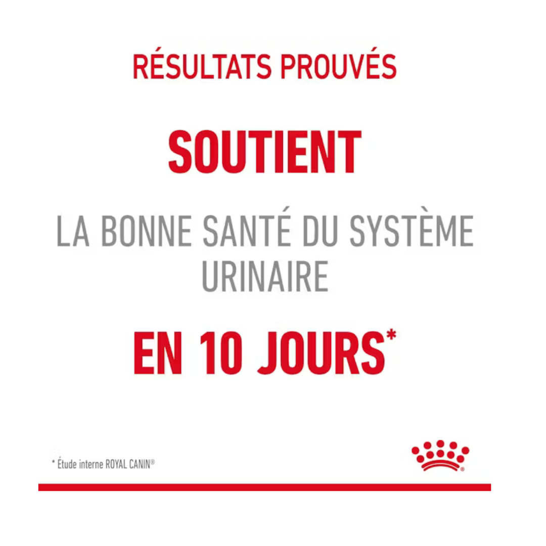 Urinary Care 12x85g- Aliment Humide- Royal Canin