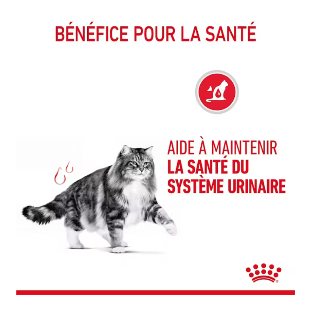 Urinary Care 12x85g- Aliment Humide- Royal Canin