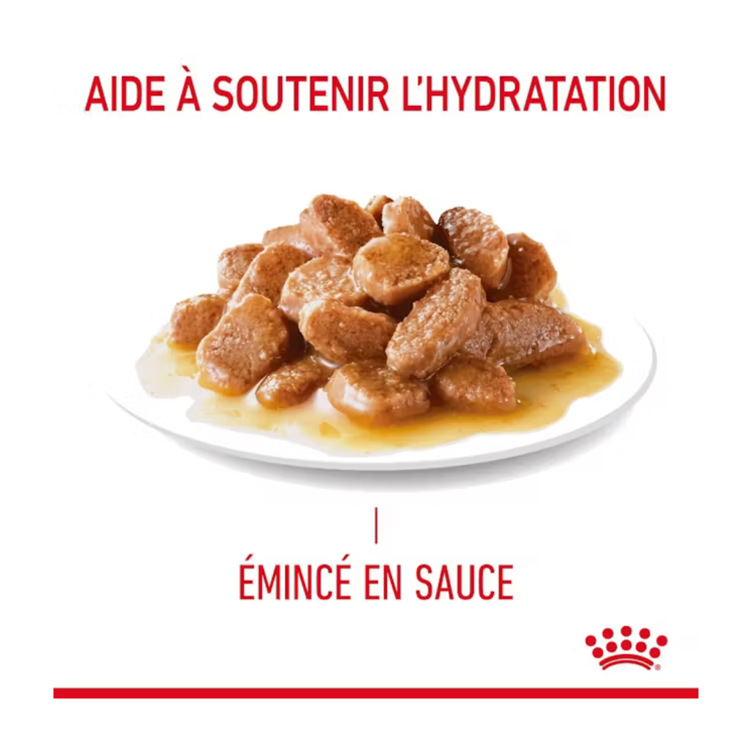 Urinary Care 12x85g- Aliment Humide- Royal Canin