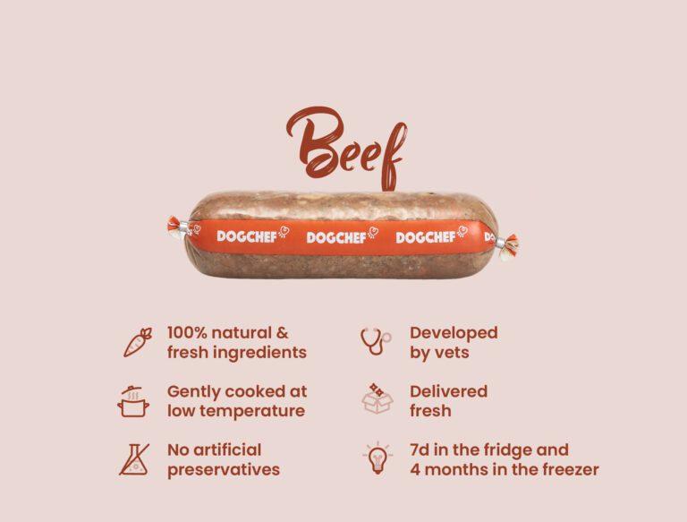 PROMO 25 unité - 20% de remise - DOGCHEF