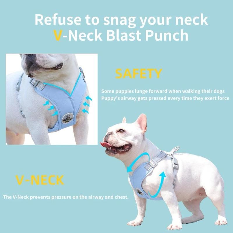 Harnais réfléchissant pour chien et ensemble laisse - Duomm Pet