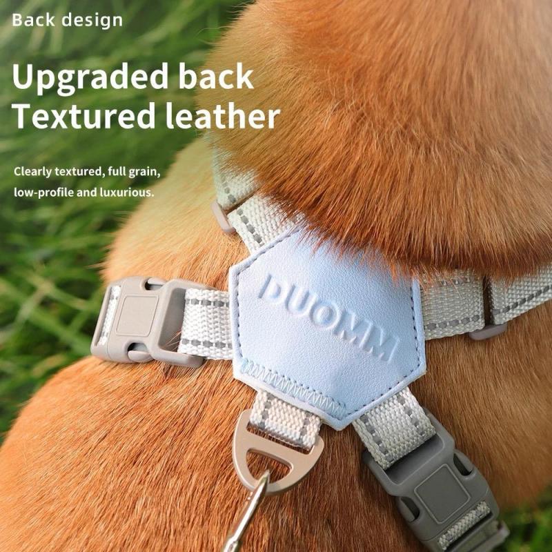 Harnais réfléchissant pour chien et ensemble laisse - Duomm Pet