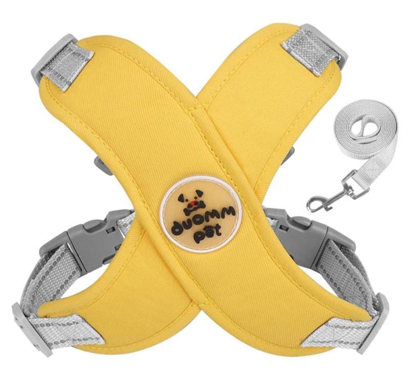 Harnais réfléchissant pour chien et ensemble laisse - Duomm Pet