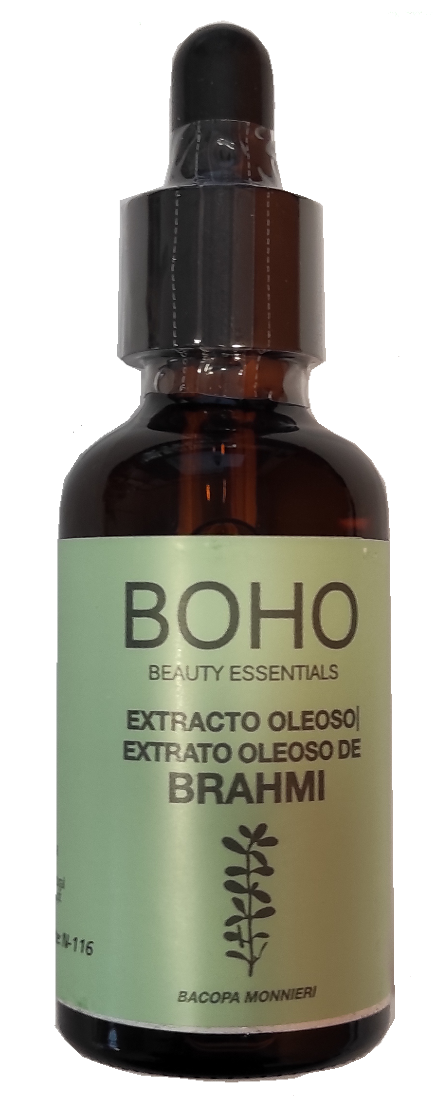 Extrato Oleoso de Brahmi (Bacopa)