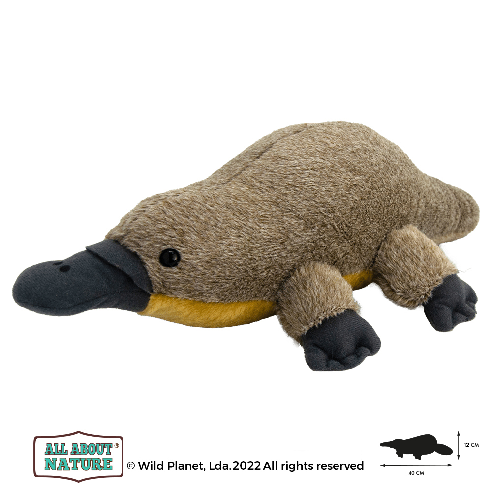 Peluche Platypus All About Nature