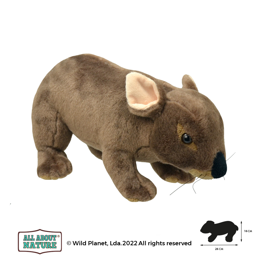Peluche Wombat All About Nature